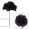 100-Pack: Black Silk Carnation Picks, 5" Stems, 3.5" Wide, Artificial Flowers, Floral Picks, Floral Home by Artificial Flowers